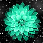 kara brandt - @brandtk2007 - Instagram