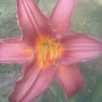 Kara Brandt - Facebook