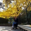 Kara_Bui - @kara_bui - TikTok
