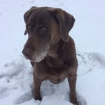 Kara Cain - @cain86608 - Instagram