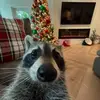 Karah Carver - @karah.carver2 - TikTok