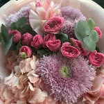@karachencevakat - Instagram