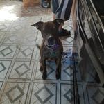 Kara Cheney - @donutgirl_25 - Instagram