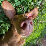 Kara - @karachristopherart - Instagram