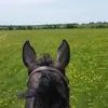 karaclement - @karaclement - TikTok