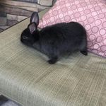 Kara Clouse - @maxey101 - Instagram