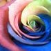 Kara Conn - Facebook