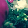 aesthetics - @karacool72000 - TikTok