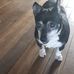 Kara Cordery - Facebook