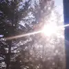 kara - @karacorey12345678910 - TikTok