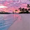 karacrawford33 - @karacrawford33 - TikTok