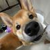 Kara Crispell - Facebook