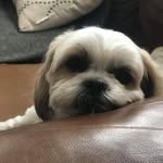 Kara Curran Rufful - @karabookins - Instagram