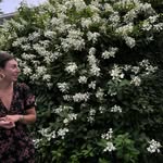 KGC - @karacurtin3 - Instagram