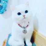 k.v. - @kara_sevv_damm - Instagram