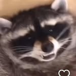 大米 - @kara.davy0406 - Instagram