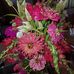 Kara Deaton - Facebook