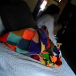 kara coren dobbins - @karacorendobbins - Instagram