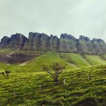 Kara Dougherty Bearpark - @karabearpark - Instagram