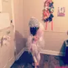 karaeddy1234 - @karaeddy1234 - TikTok