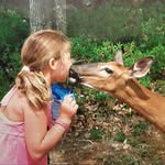 Kara Eder - @poconodiscountcard - Instagram