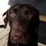 Kara Eder - @meistereder_poconos - Instagram