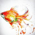 Kara fish - @kara__fish - Instagram