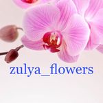 КОМНАТНЫЕ ЦВЕТЫ/КАРА-БАЛТА - @zulya_flowers_karabalta - Instagram
