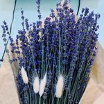 Kara's Store - @karaflowers89 - Instagram