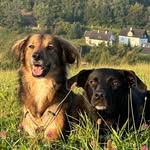 Kara & Floyd - @karaundfloyd - Instagram