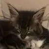 KaraFloydag - @karafloydag - TikTok