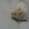 karagamble - @karagamble27 - TikTok