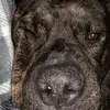 Karagoodenow - @karagoodenow - TikTok
