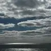 KarNicole - @karahgood - TikTok