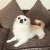 Kara Griffiths - @kara.griffiths6 - TikTok