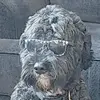 kara.halpern - @kara.halpern - TikTok