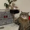 kham - @karaaham - TikTok