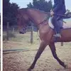 Kara Hanley 😇 - @kara.eq123 - TikTok