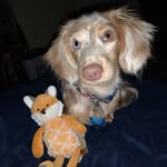 Kara Hardin - @khardin3065 - Instagram