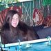 Kara Hatcher - Facebook