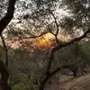 kara_herbert - @kara_herbert - TikTok