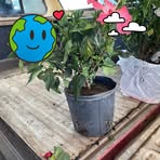 Kara Hernandez - Facebook
