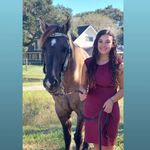 Kara Hernandez - @horse_art_andmore - Instagram