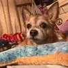 Kara Hinkley - @karahinkley60 - TikTok