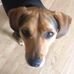 Kara Holcomb - Facebook