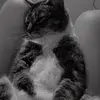 Karrraaaaaaa - @karaholtsclaw2009 - TikTok