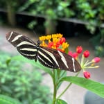Kara Hopper - @beclimateaware - Instagram