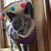 karahopper3 - @karahopper3 - TikTok