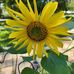 Kara Portwood Hutton - Facebook