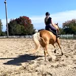 Kara Ann Hyde - @karabhyde991 - Instagram